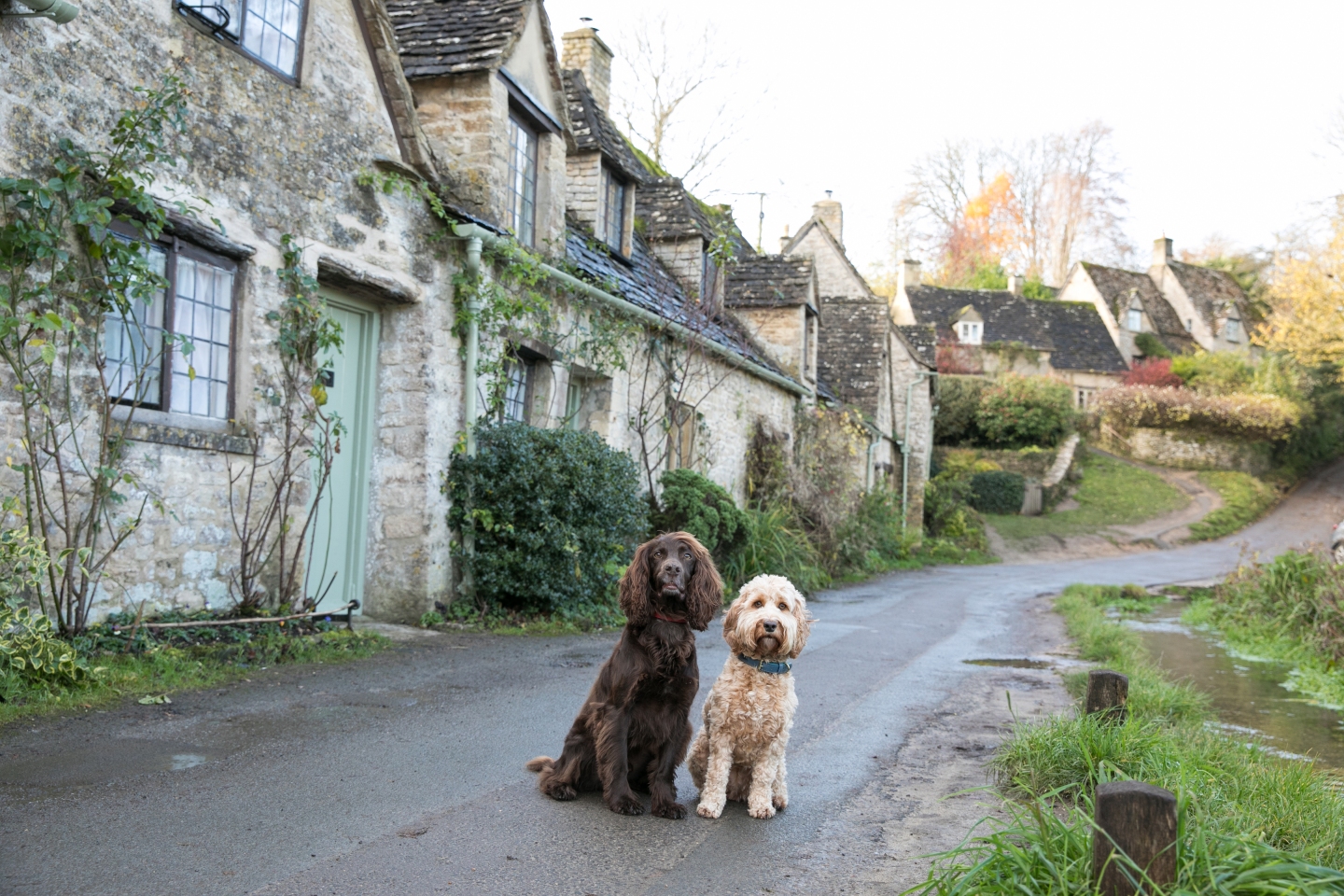 cotswolds places to visit with dogs