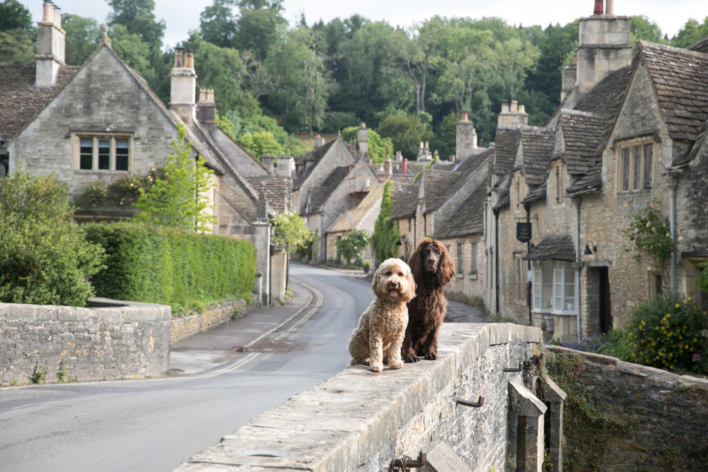 cotswolds places to visit with dogs